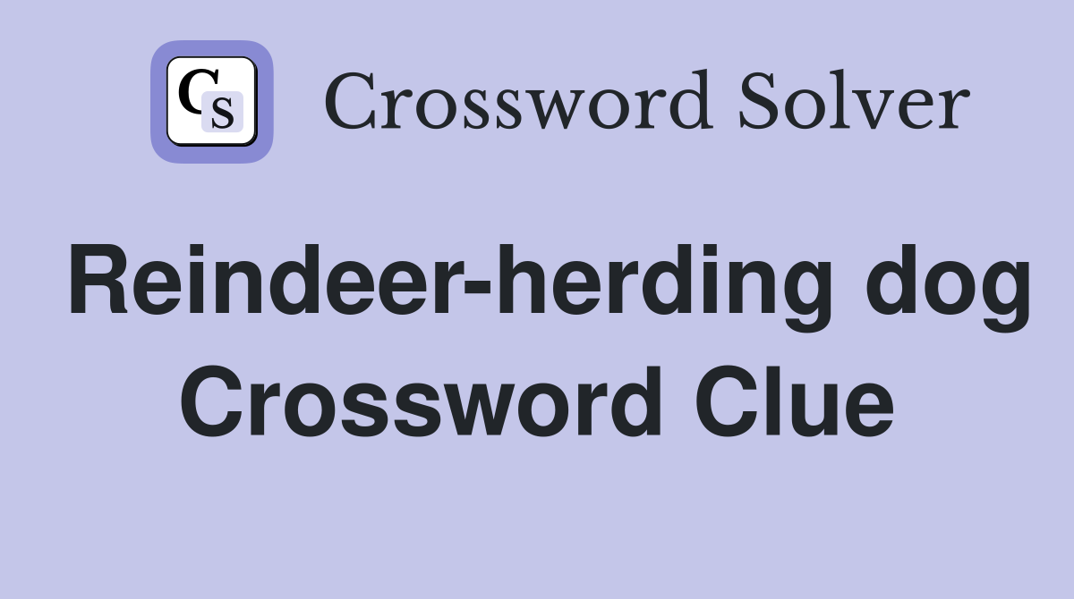 Reindeer-herding dog Crossword Clue