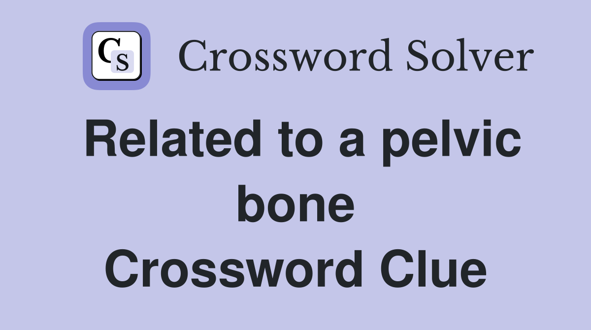 Related to a pelvic bone Crossword Clue