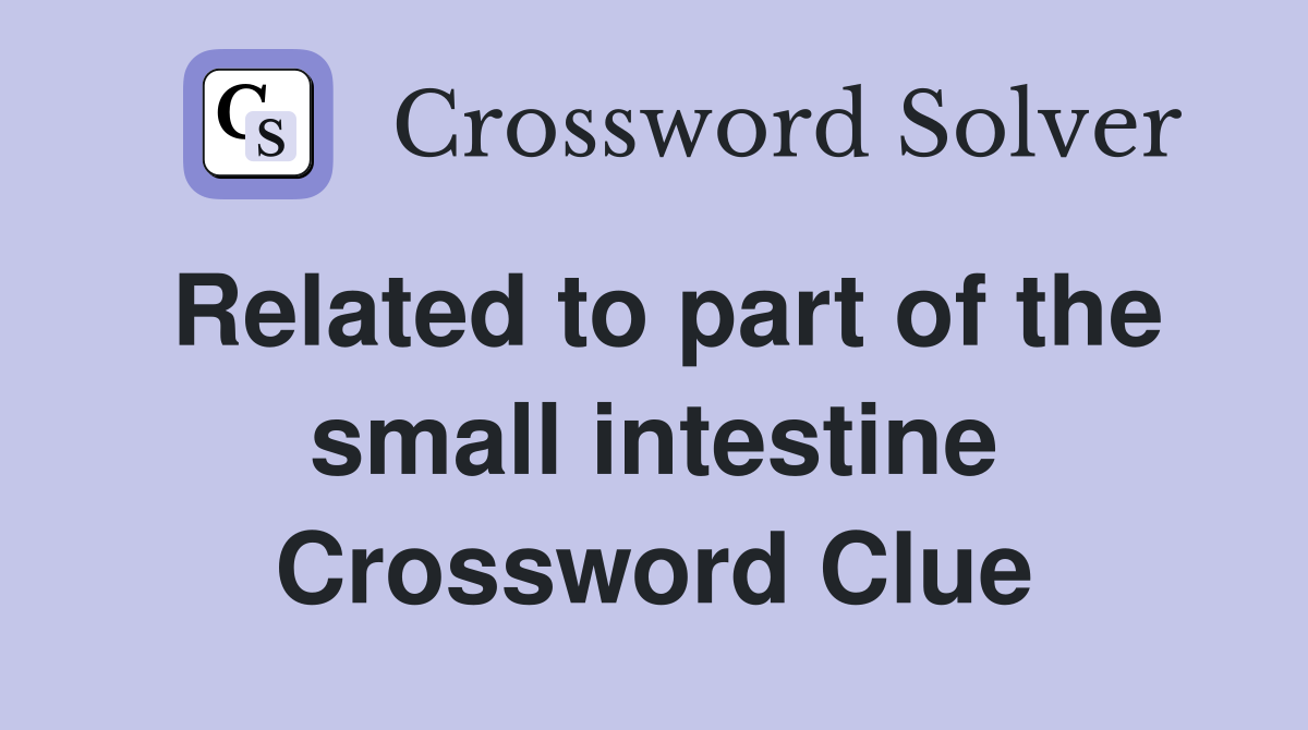 Related to part of the small intestine Crossword Clue