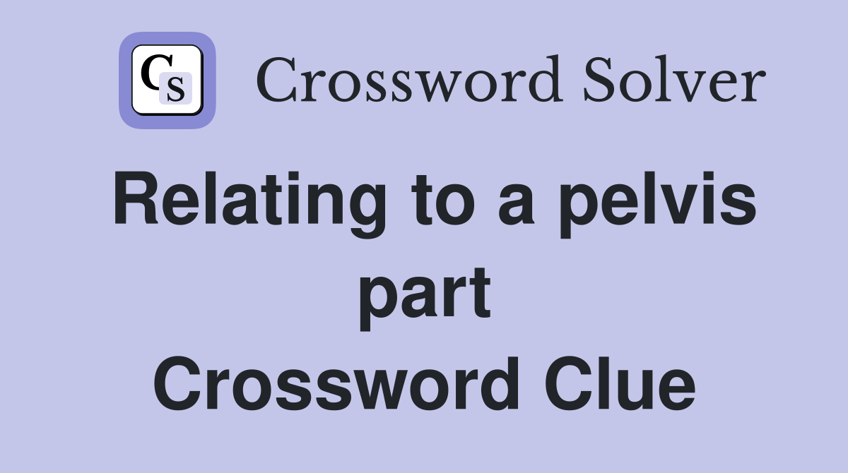Relating to a pelvis part Crossword Clue