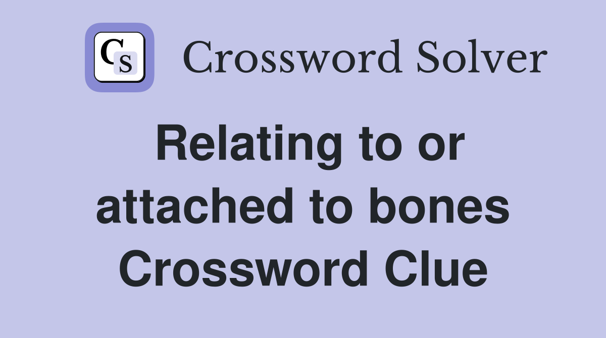 Relating to or attached to bones Crossword Clue
