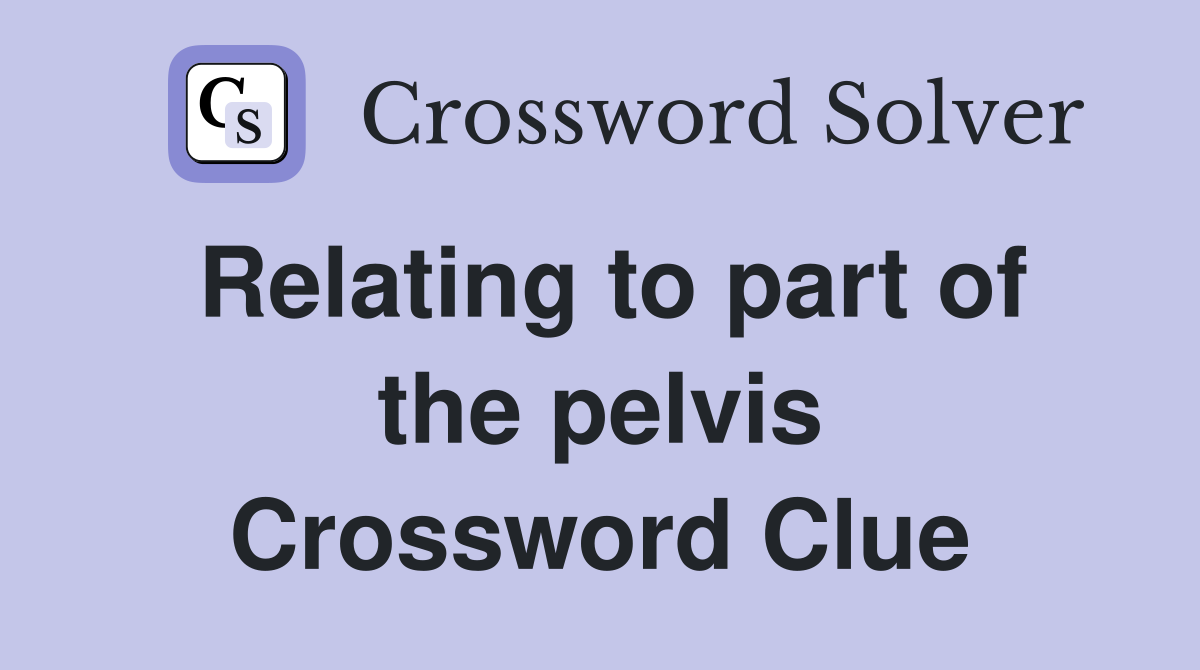 Relating to part of the pelvis Crossword Clue
