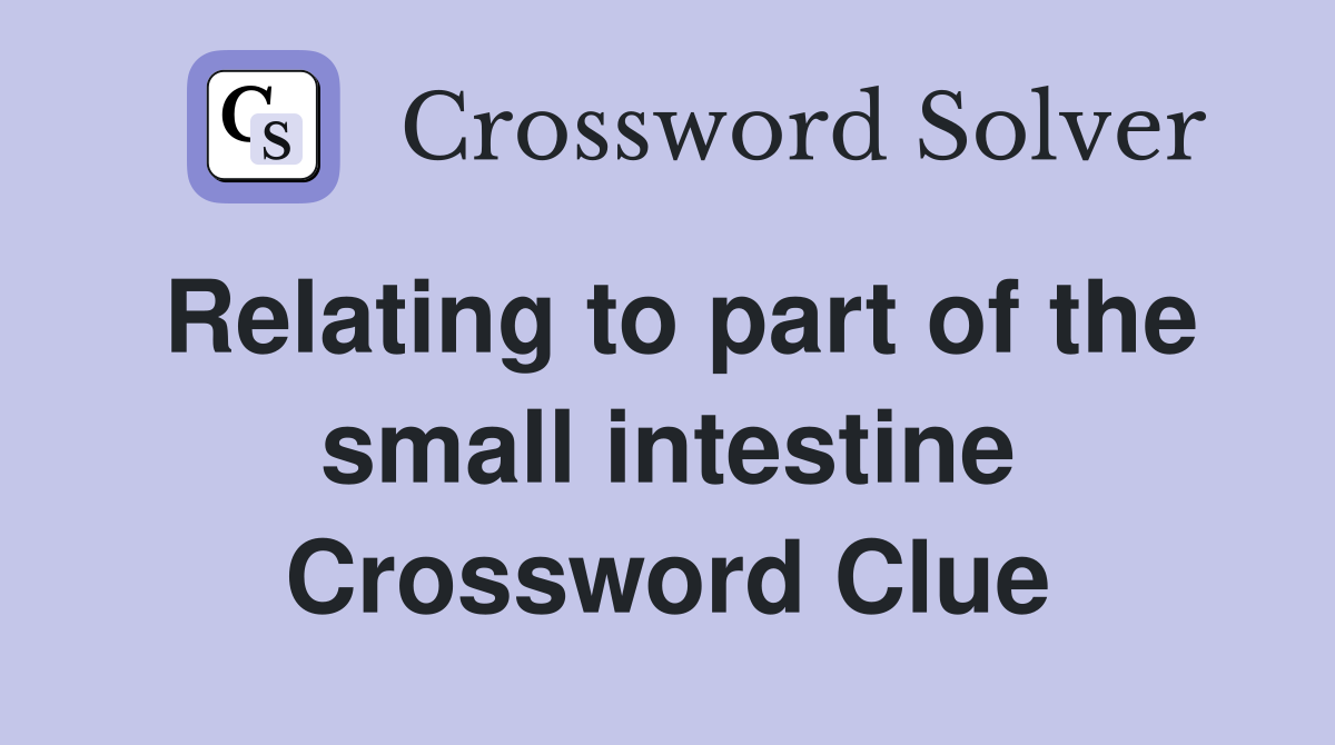 Relating to part of the small intestine Crossword Clue