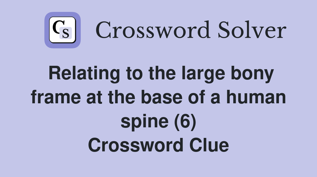 Relating to the large bony frame at the base of a human spine (6) Crossword Clue