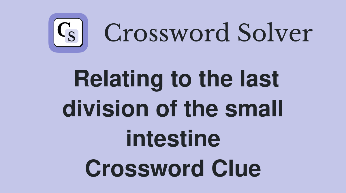 Relating to the last division of the small intestine Crossword Clue