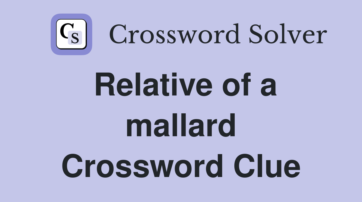 Relative of a mallard Crossword Clue