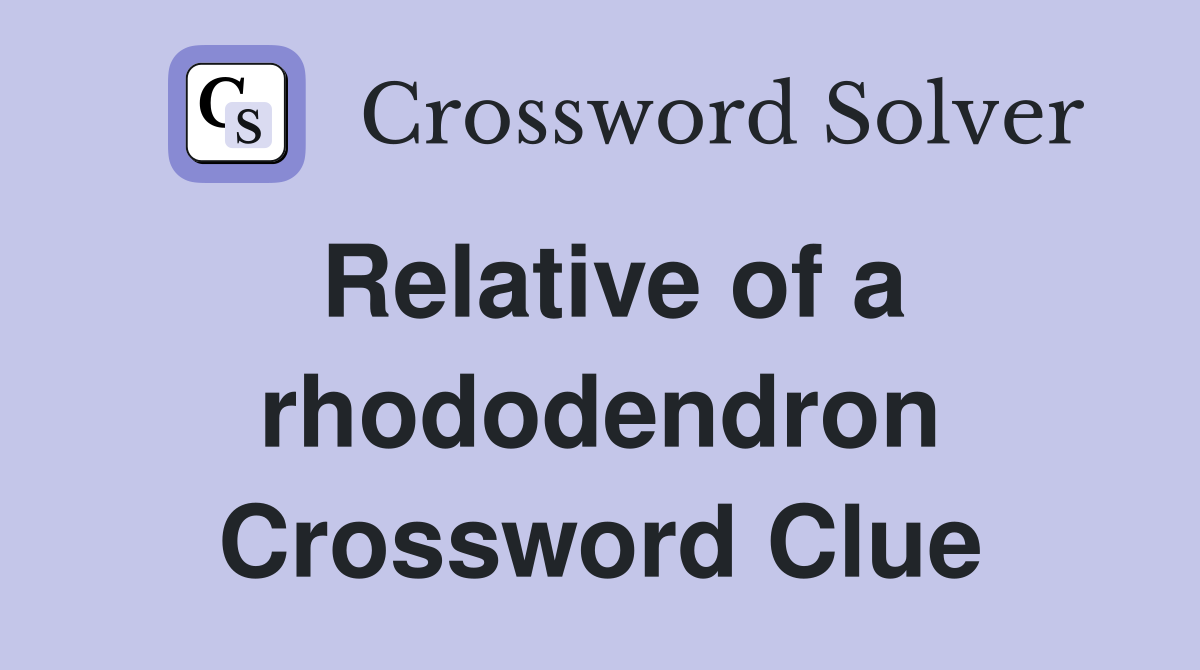 Relative of a rhododendron Crossword Clue