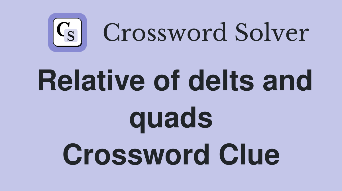 Relative of delts and quads Crossword Clue