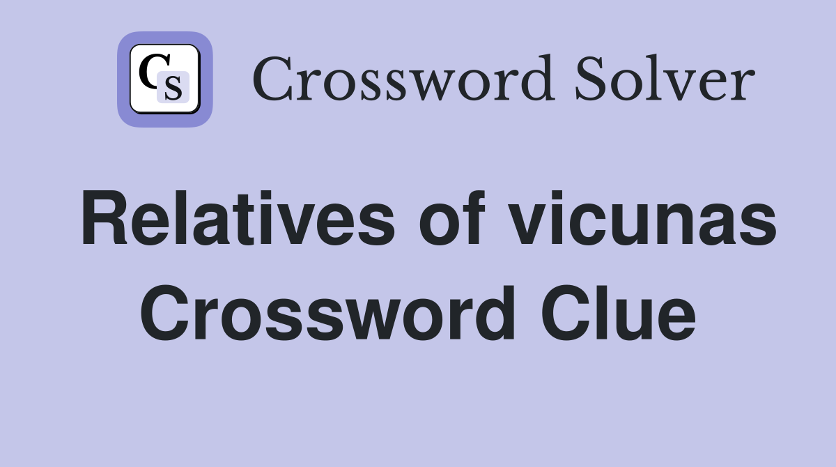 Relatives of vicunas Crossword Clue
