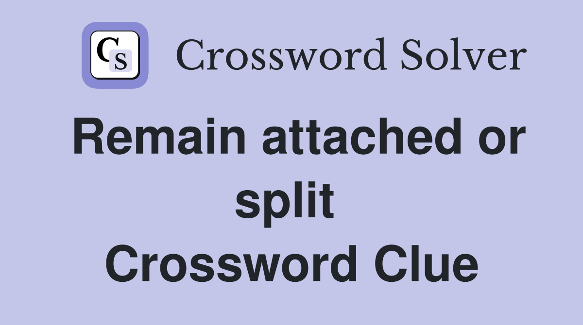 Remain attached or split  Crossword Clue