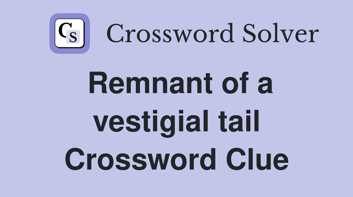 Remnant of a vestigial tail Crossword Clue