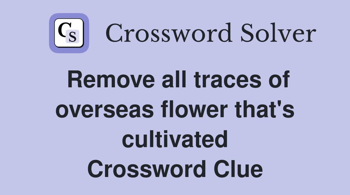 Remove all traces of overseas flower that's cultivated Crossword Clue