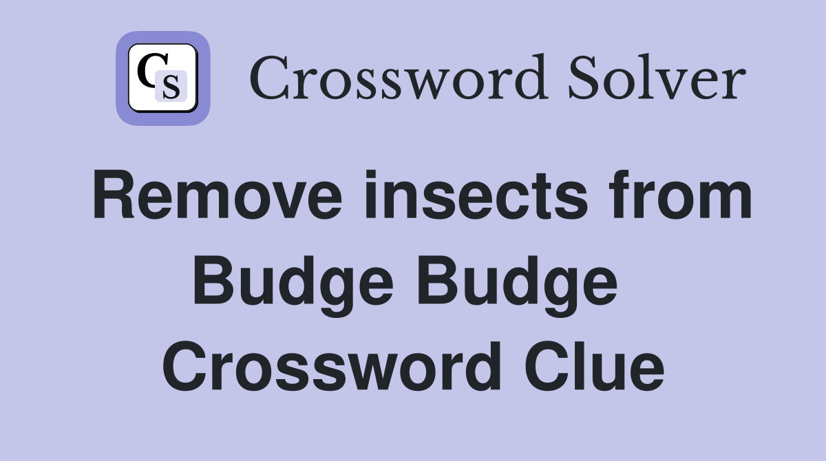 Remove insects from Budge Budge  Crossword Clue