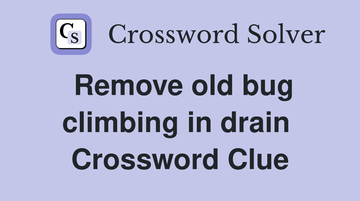 Remove old bug climbing in drain  Crossword Clue
