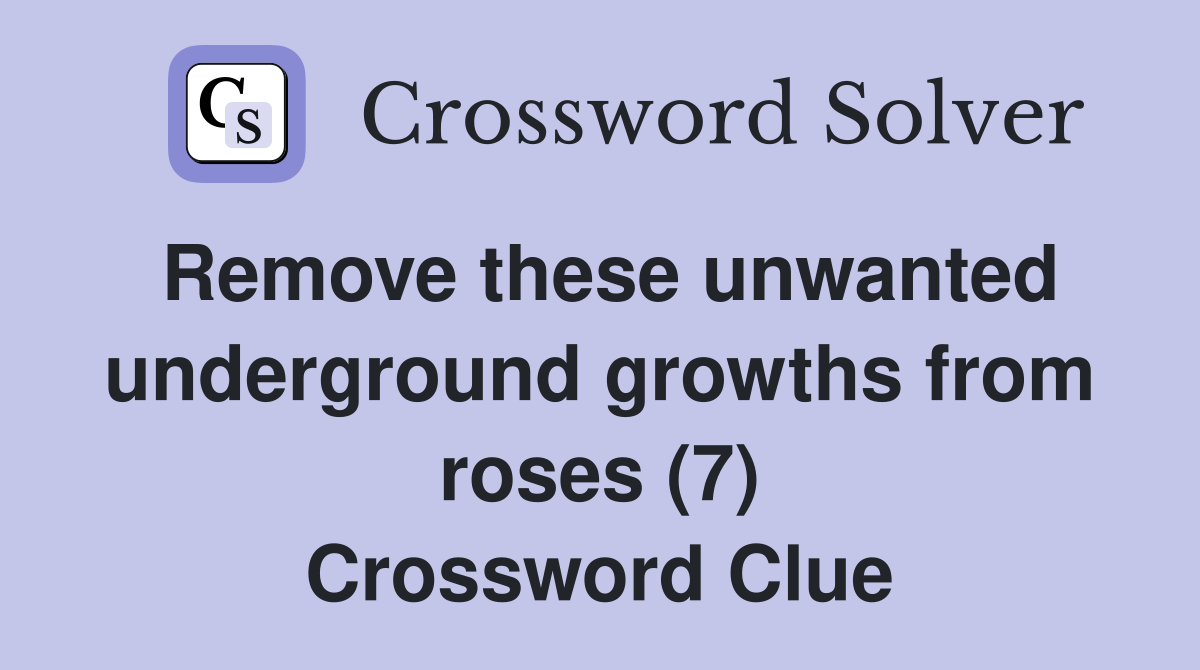 Remove these unwanted underground growths from roses (7) Crossword Clue