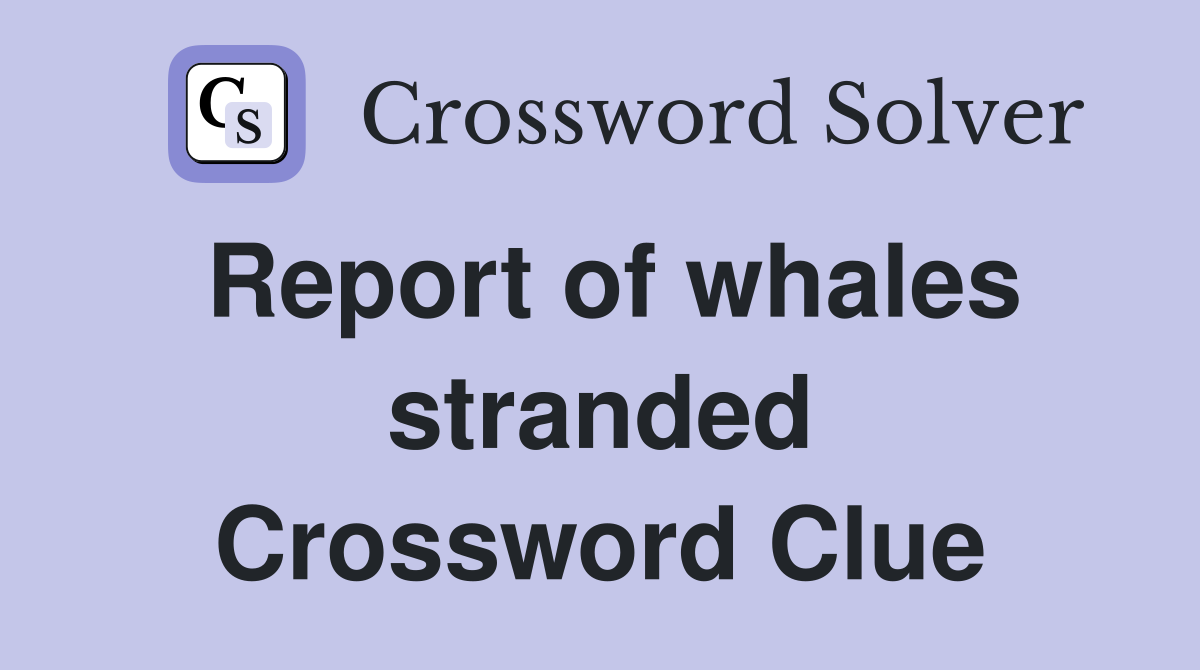 Report of whales stranded Crossword Clue