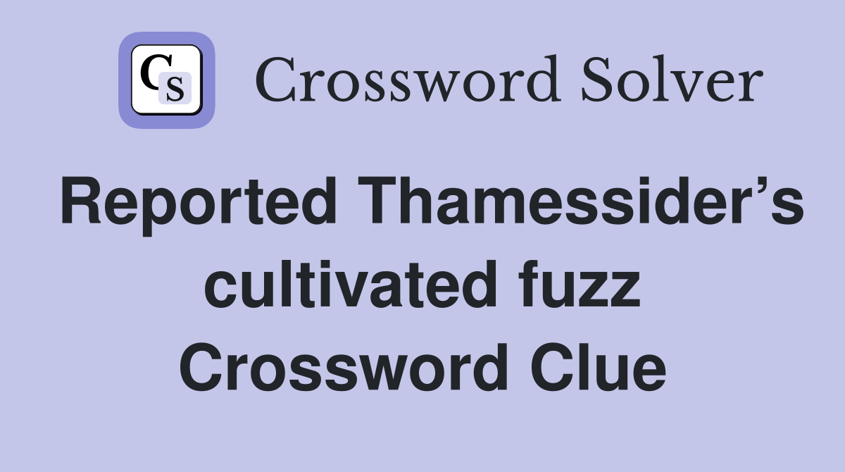 Reported Thamessider’s cultivated fuzz Crossword Clue