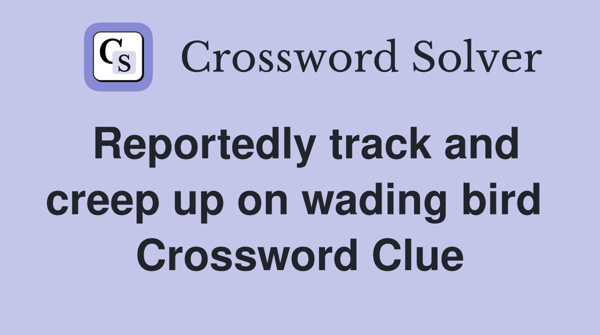 Reportedly track and creep up on wading bird  Crossword Clue
