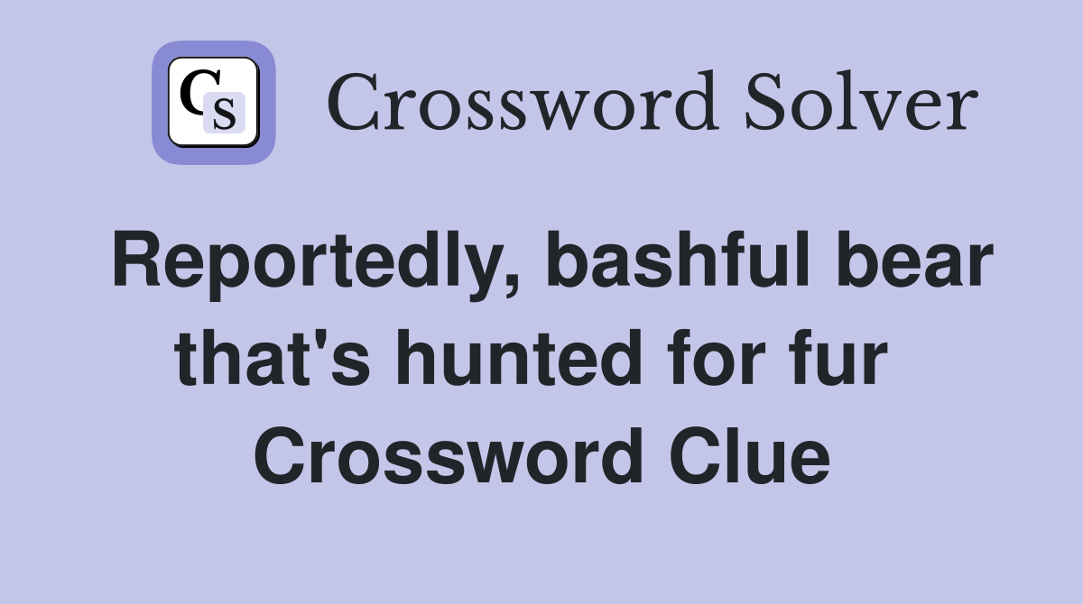 Reportedly, bashful bear that's hunted for fur  Crossword Clue