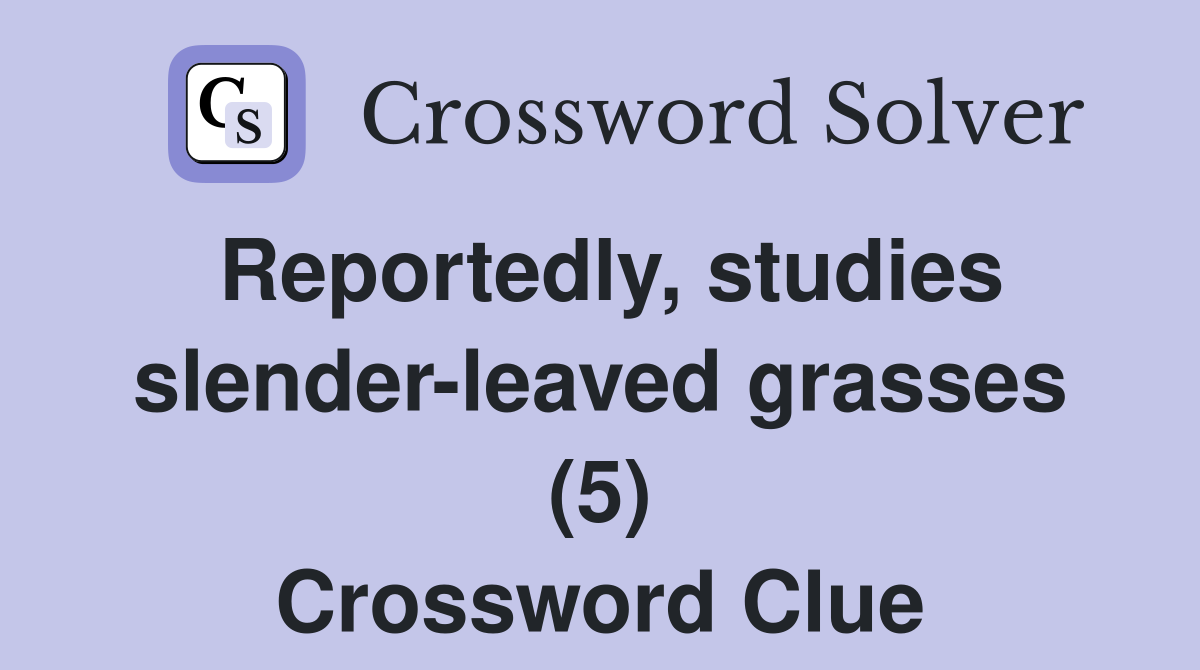 Reportedly, studies slender-leaved grasses (5) Crossword Clue