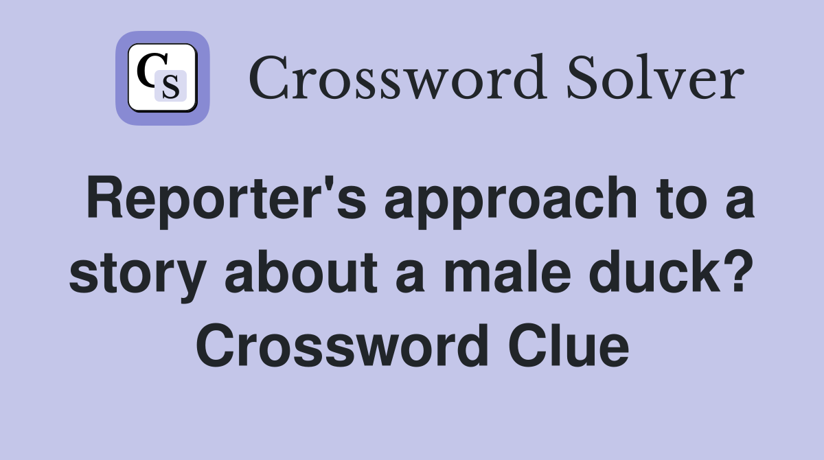 Reporter's approach to a story about a male duck? Crossword Clue
