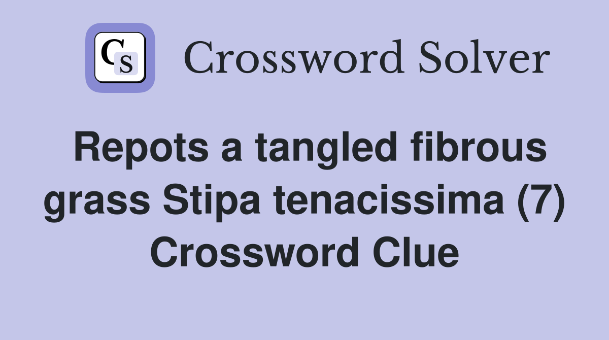 Repots a tangled fibrous grass Stipa tenacissima (7) Crossword Clue