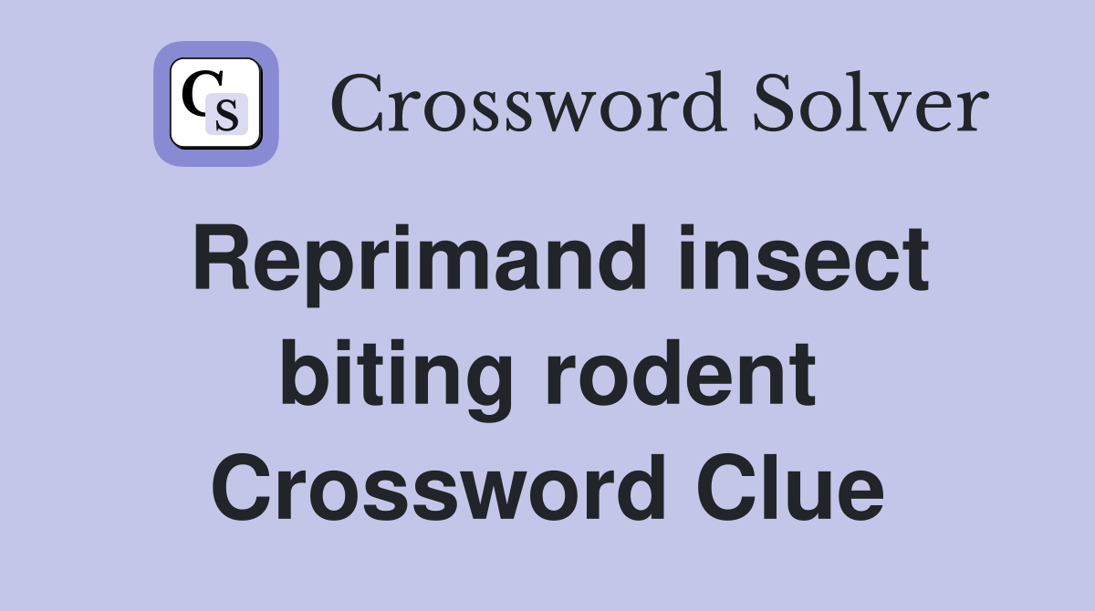 Reprimand insect biting rodent Crossword Clue