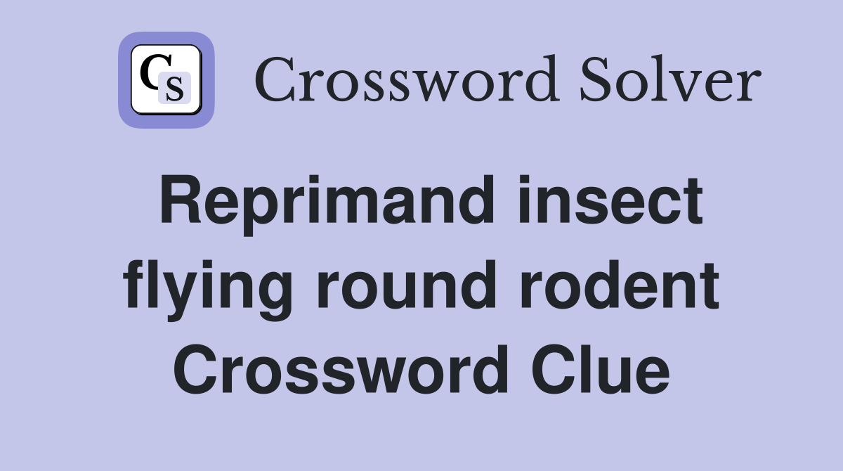 Reprimand insect flying round rodent Crossword Clue