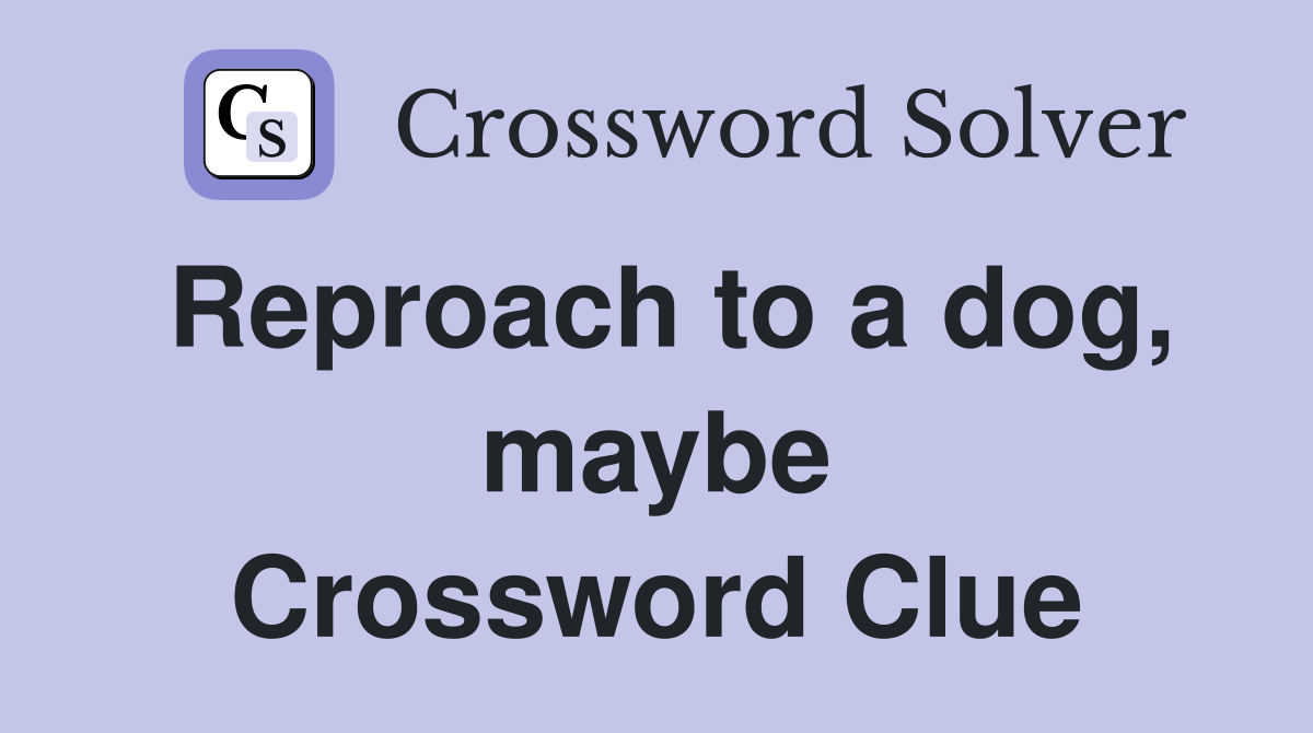 Reproach to a dog, maybe Crossword Clue
