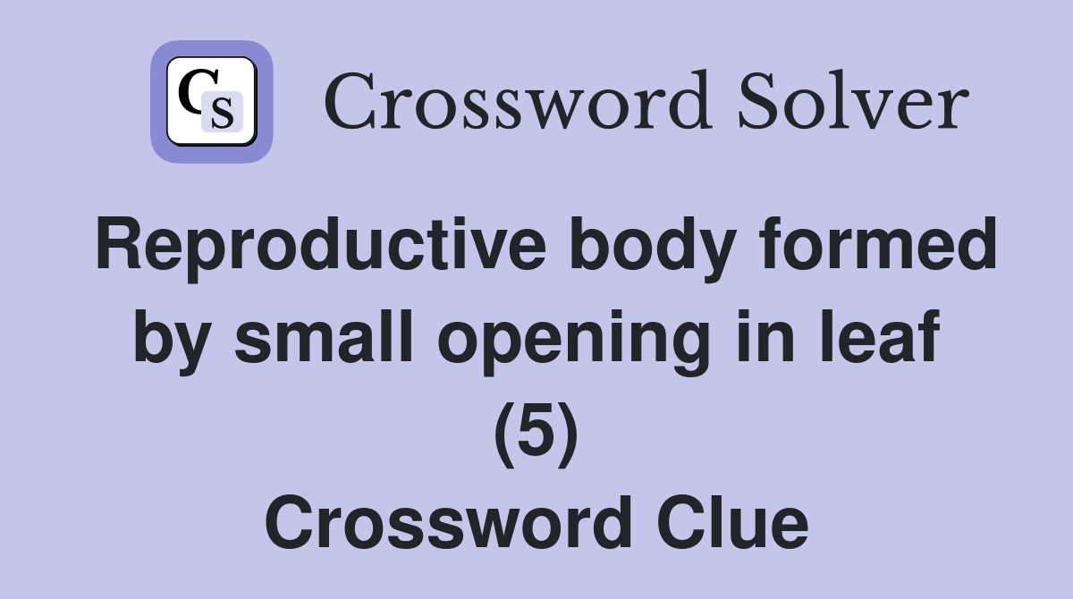 Reproductive body formed by small opening in leaf (5) Crossword Clue