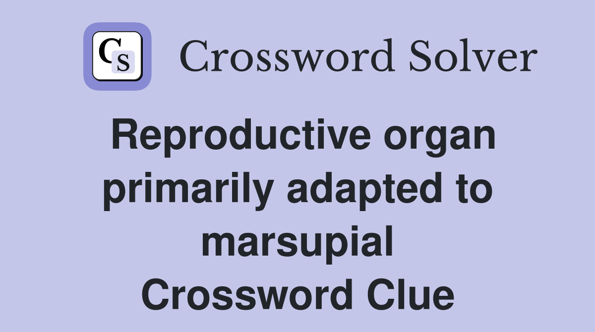 Reproductive organ primarily adapted to marsupial Crossword Clue