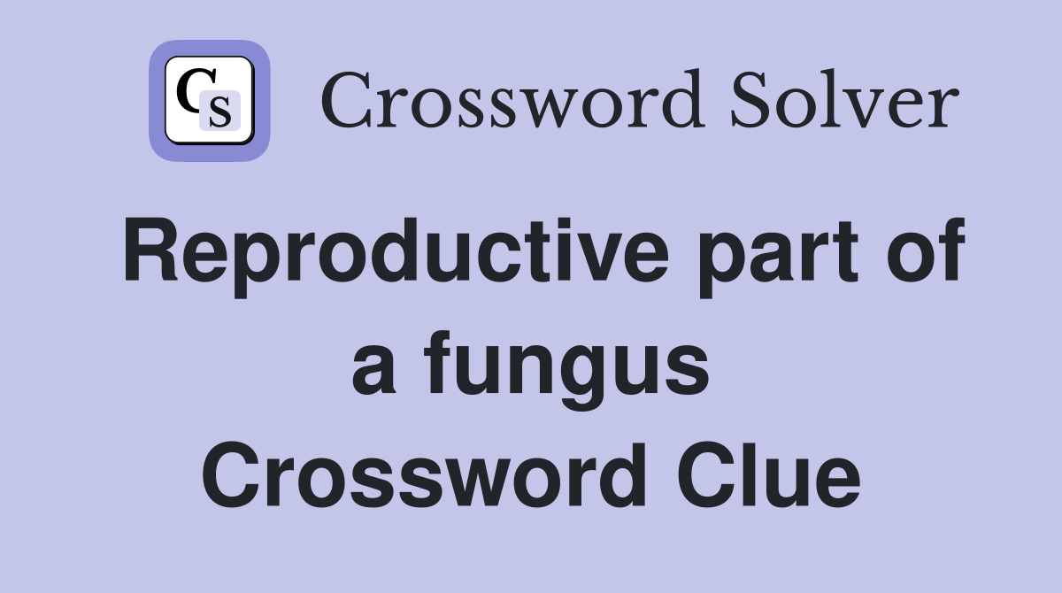 Reproductive part of a fungus Crossword Clue