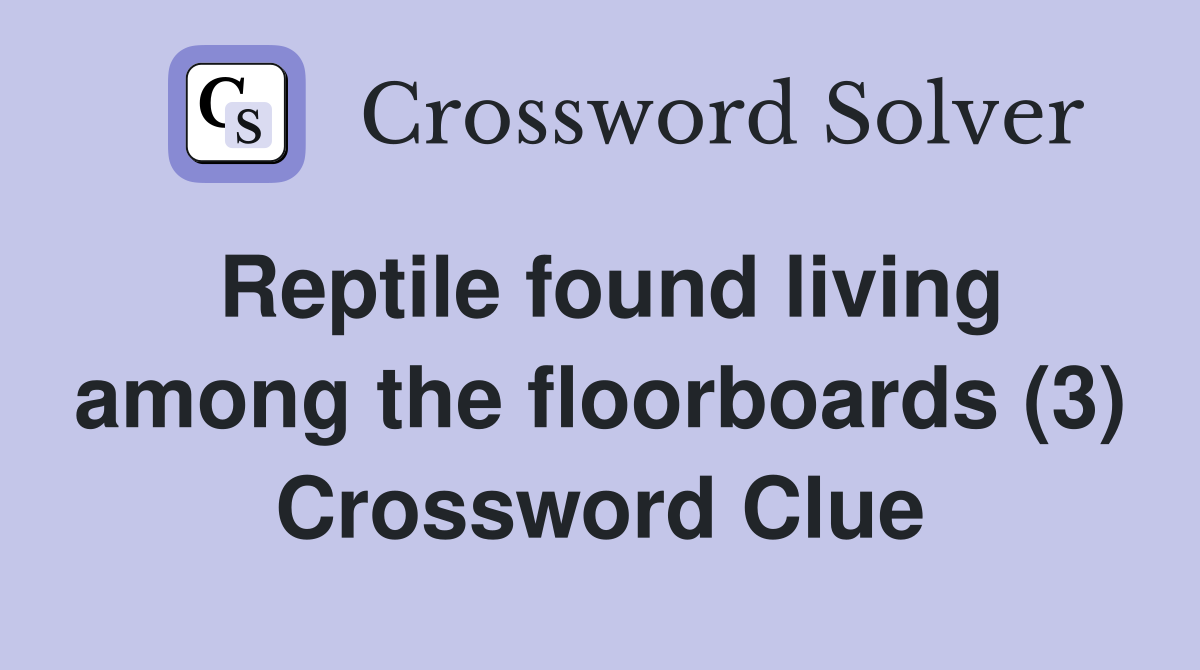 Reptile found living among the floorboards (3) Crossword Clue