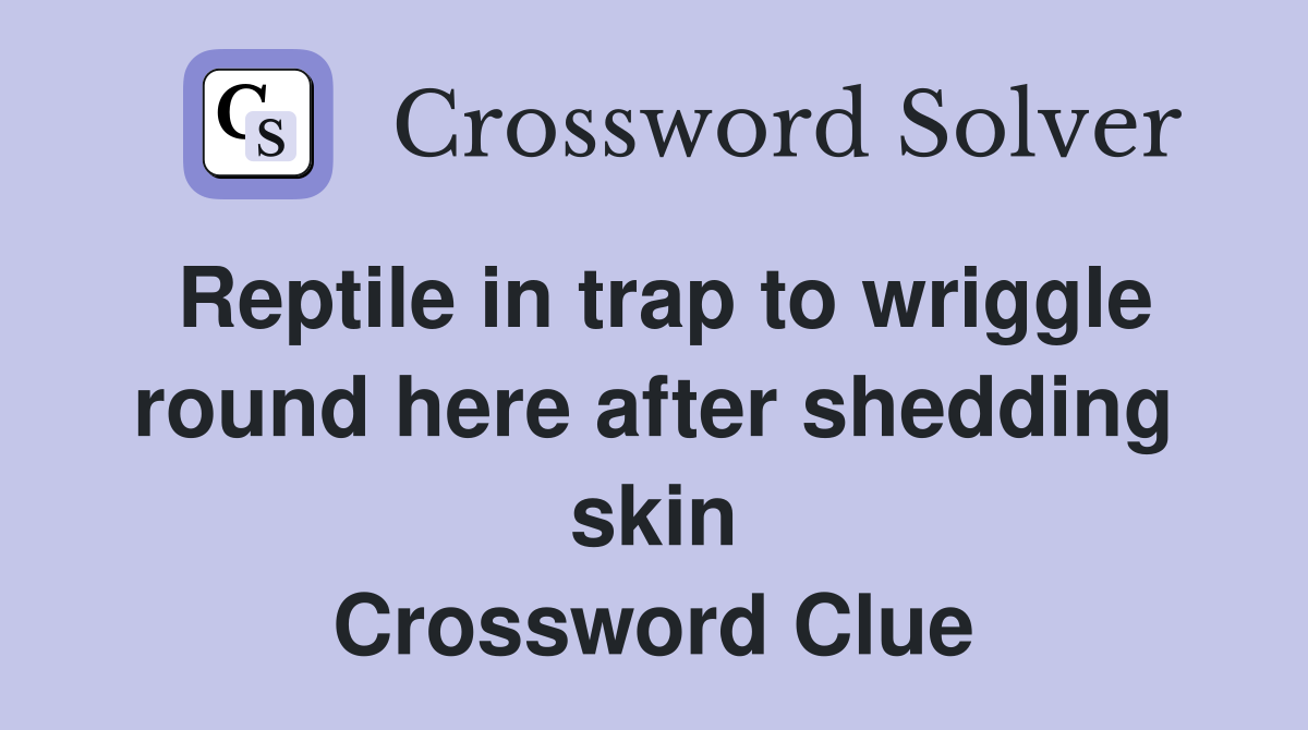 Reptile in trap to wriggle round here after shedding skin Crossword Clue