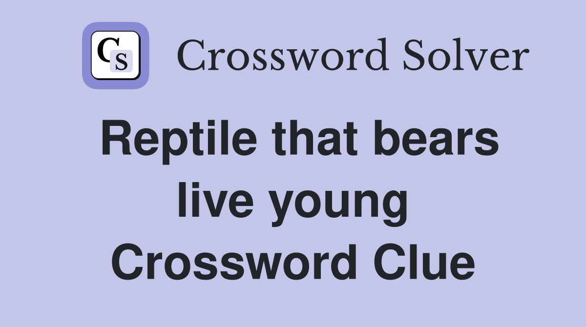 Reptile that bears live young Crossword Clue