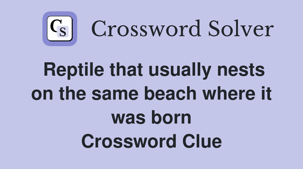 Reptile that usually nests on the same beach where it was born Crossword Clue