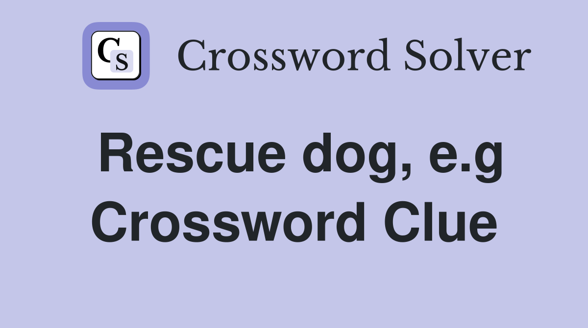 Rescue dog, e.g Crossword Clue