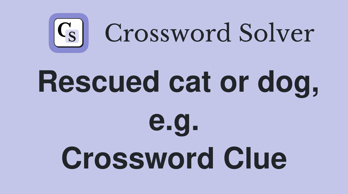 Rescued cat or dog, e.g. Crossword Clue