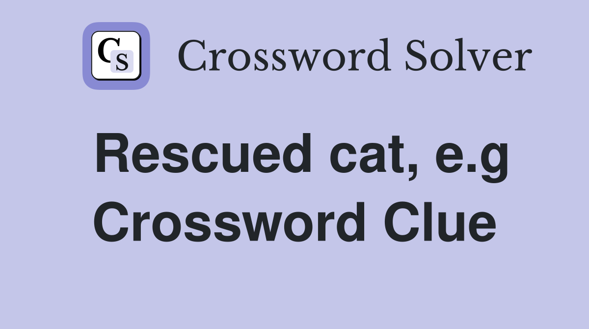 Rescued cat, e.g Crossword Clue