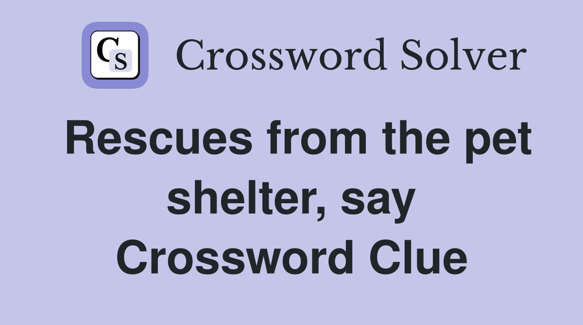 Rescues from the pet shelter, say Crossword Clue