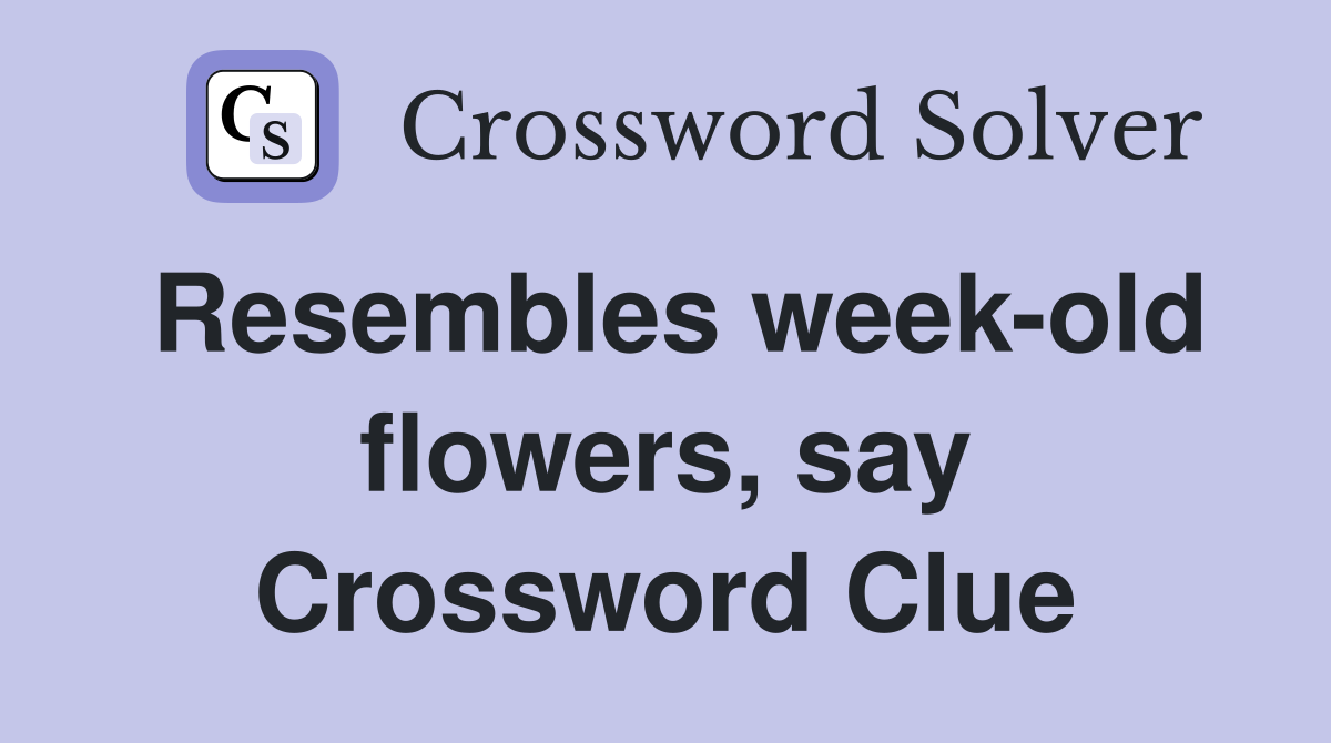 Resembles week-old flowers, say Crossword Clue