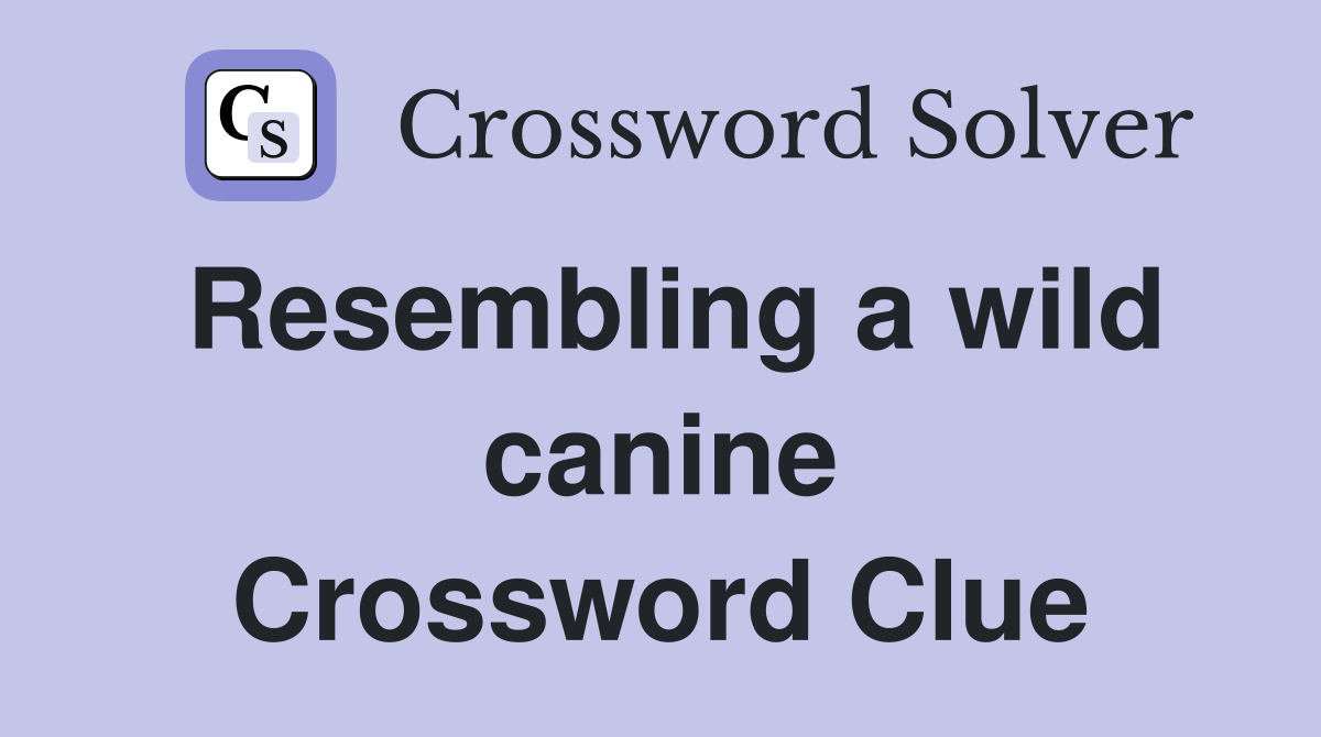 Resembling a wild canine Crossword Clue