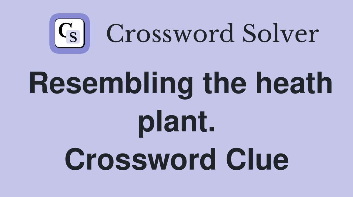 Resembling the heath plant. Crossword Clue