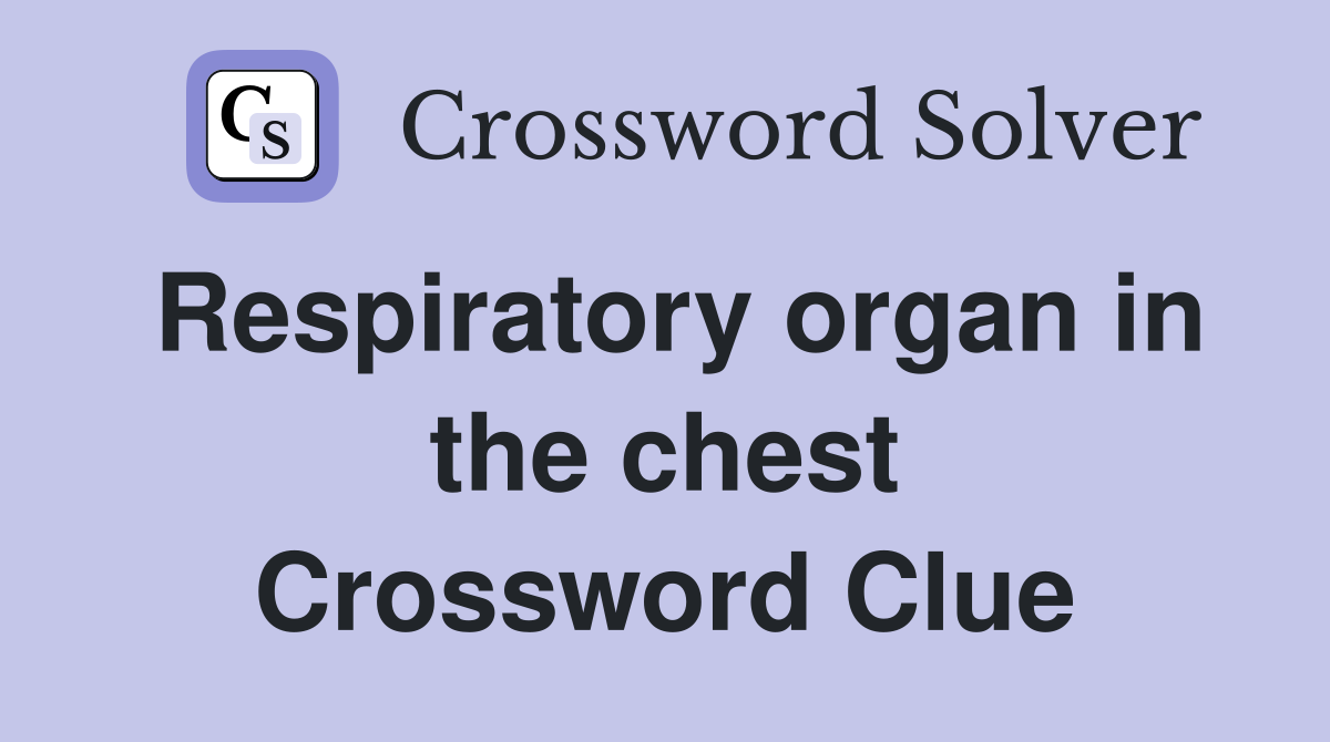 Respiratory organ in the chest Crossword Clue