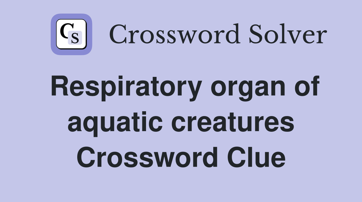 Respiratory organ of aquatic creatures Crossword Clue