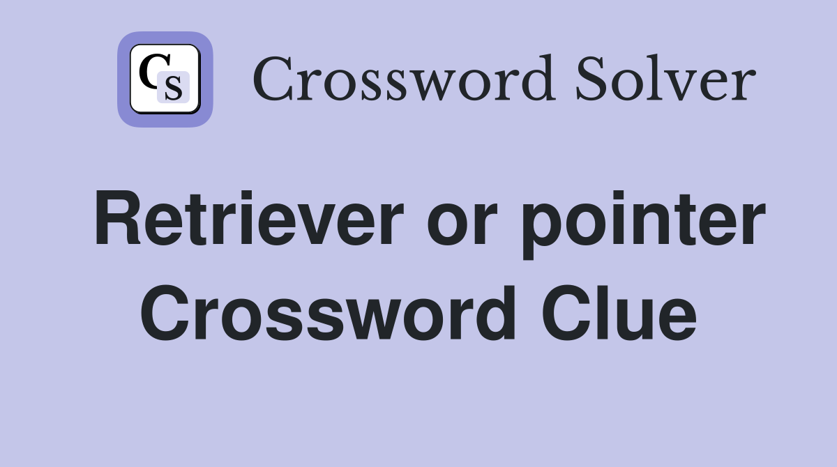 Retriever or pointer Crossword Clue