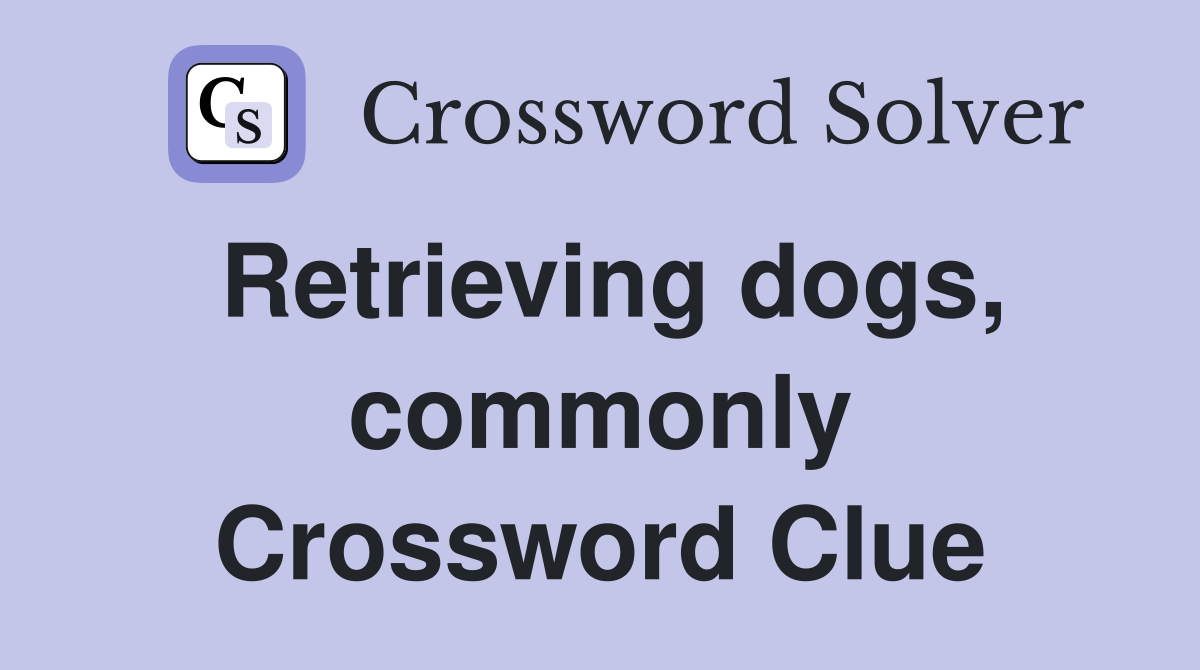 Retrieving dogs, commonly Crossword Clue