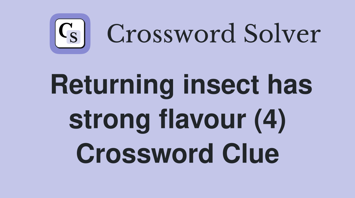 Returning insect has strong flavour (4) Crossword Clue