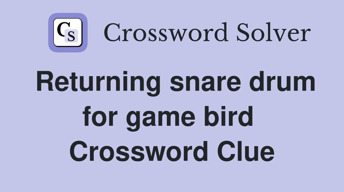 Returning snare drum for game bird  Crossword Clue