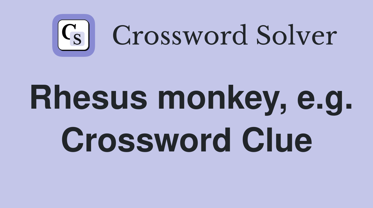 Rhesus monkey, e.g. Crossword Clue